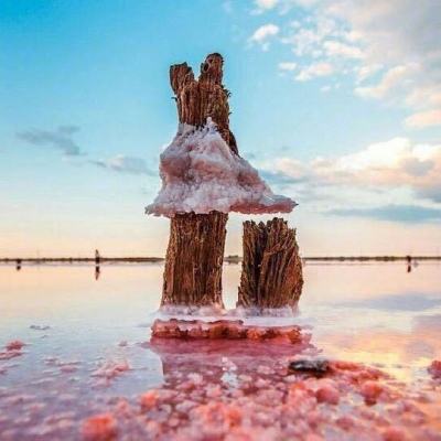 丰禾棋牌手机app下载