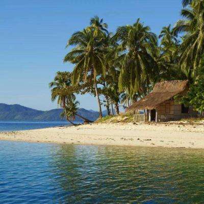 leyu·乐鱼中国体育官方网站截图