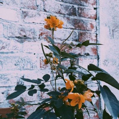 半岛·体育官方登录入口